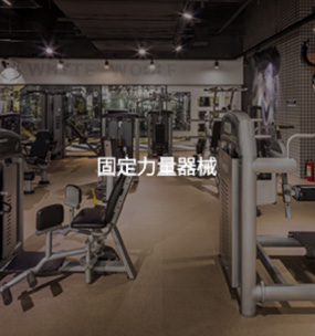 基本配置类型